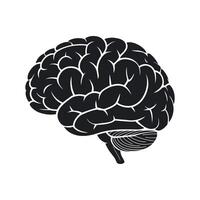 Monochrome Illustration of a Human Brain with Detailed Gyri and Sulci Representing Intelligence Thought and Neurological Complexity on a Clean White Background vector