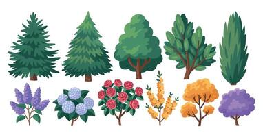 Set of Cartoon Trees and Bushes with Different Shapes and Colors Including Evergreen Deciduous and Flowering Varieties Isolated on a White Background vector
