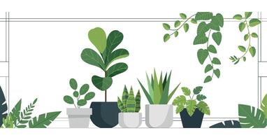 Collection of Potted Plants with Frame on White Background Fiddle Leaf Fig Snake Plant and Hanging Vines for Interior Decor and Design vector