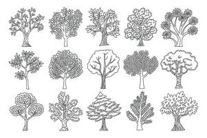 Set of Fifteen Different Trees in Doodle Style Black and White Illustration for Coloring Books and Creative Projects with Nature Elements vector