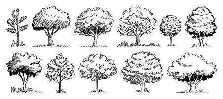 Hand Drawn Tree Illustrations in Black and White A Variety of Tree Shapes and Sizes for Design Projects and Creative Applications vector