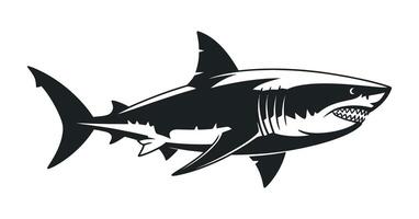 Monochrome Illustration of a Great White Shark with Open Mouth and Sharp Teeth on a White Background vector