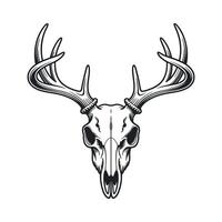 Monochrome Vintage Deer Skull Illustration with Intricate Horns and Detailed Bone Structure on a White Background for Design Elements vector