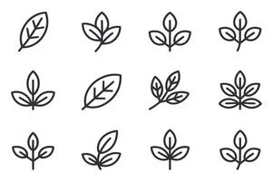 Set of Minimalist Leaf Icons in Outline Style Representing Nature Growth and Simplicity for Design Elements and Creative Projects on a White Background vector