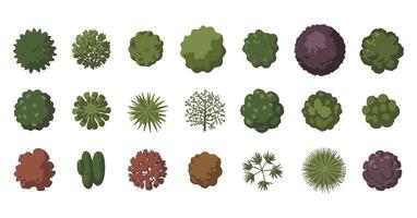 Collection of Top View Tree Illustrations for Architectural and Landscape Design Including Various Shapes Sizes and Colors on a White Background vector