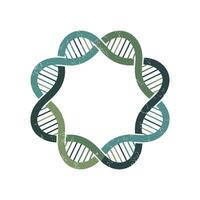 Circular DNA Strand Arrangement with Grunge Texture for Science Biology and Genetics Concepts and Designs on a White Background vector