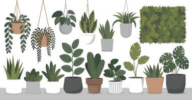 Collection of Potted Houseplants and Hanging Plants Including Snake Plant Monstera and Trailing Varieties in a Flat Style on White Background vector