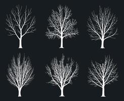 Collection of Six Stylized Bare Trees Silhouettes in White on a Black Background Representing Winter Death or Minimalist Design Elements for Creative Projects vector
