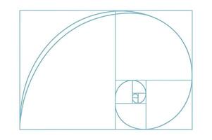 Light Blue Fibonacci Sequence Spiral on White Background for Design and Mathematics Concepts and Applications in Nature and Art vector