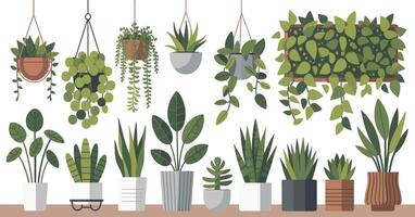 Collection of Various Potted and Hanging Plants Including Succulents Leafy Greens and Vines Arranged on a Shelf Isolated on White Background vector