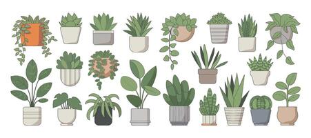 Collection of Various Potted Houseplants Succulents and Hanging Plants in Different Pots Perfect for Adding a Touch of Greenery to Any Design vector
