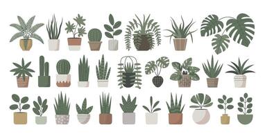 Collection of Different Houseplants in Pots Illustration of Various Indoor Plants Perfect for Decoration Wall Art and Adding a Touch of Greenery vector