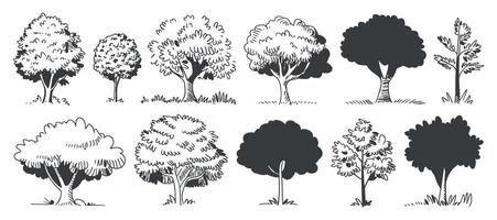Hand Drawn Tree Set with Different Styles Forest Illustration Nature Elements Isolated on White Background Black and White Minimalist Design vector