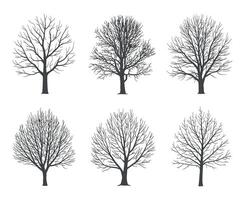 Set of Six Bare Tree Silhouettes on a White Background for Winter or Autumn Designs and Illustrations vector