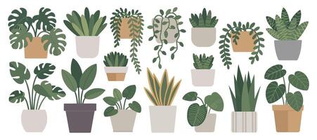 Collection of Various Potted Houseplants in Different Shapes and Sizes Isolated on White Background Decorative Indoor Plants Illustration for Interior Design vector