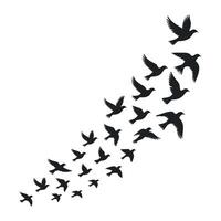 Flock of Birds Flying Upward in a Diagonal Formation Symbolizing Freedom Hope and Transition Isolated on White Background Silhouette Style vector