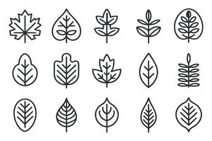 Set of Various Leaf Icons in Outline Style Perfect for Nature Related Designs Botanical Illustrations or Simple and Elegant Graphic Elements for Web vector