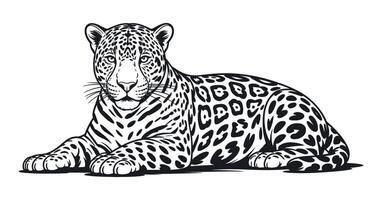 Detailed Black and White Illustration of a Lying Jaguar a Powerful and Graceful Wild Cat with Distinctive Spotted Markings and Intense Gaze vector