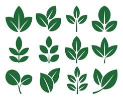 Collection of Twelve Green Leaf Icons on White Background Representing Nature Growth and Sustainability in a Simple Style vector