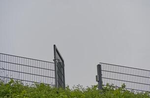 Garden gate stands open between metal bars with green plants against a grey sky as a background photo