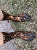 Feet Covered in Mud on Grass photo
