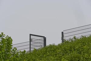 A garden gate stands open between metal bars with green plants against a grey sky as background photo