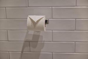 Modern Bathroom with Toilet Paper Roll photo