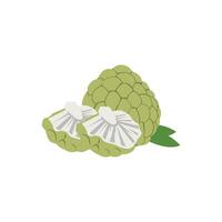 Sour fruit with green leaves on white background vector