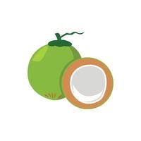 Coconut fruit illustration isolated on white background vector