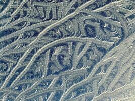 Intricate Textured Patterns in Nature-Inspired Design photo