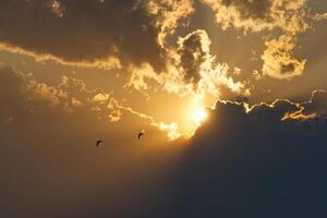 Serene Sunset with Birds in Flight photo