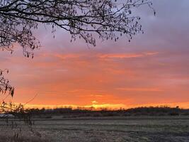 Serene Sunset Over a Field photo