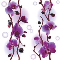 Seamless background with gentle orchids branches vector
