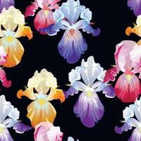 Seamless pattern with violet,orange and vinous Iris flowers on the black background vector