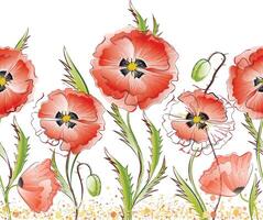 Seamless pattern with red gentle poppy flowers vector