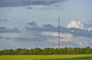 The radio mast in Kollund, Denmark in front of a field with a row of trees against approaching storm photo