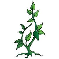 Trailing Vine Graphics vector