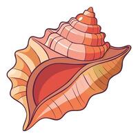 Seashell Siren Illustrations vector