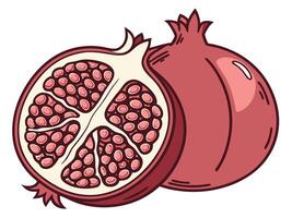 Illustration of a Whole and a Halved Pomegranate Fruit on a White Background vector