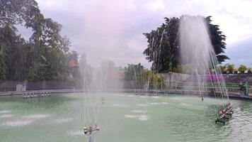 Footage of an afternoon atmosphere at a pond with a fountain and green plants around it. video