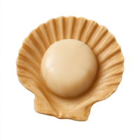 Simple 3D Scallop Model in a Shell for Culinary Visualization png