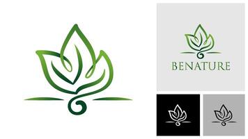 Nature leaf growth logo icon design template. vector