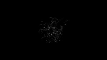 Swarm of Bugs Animation on a Black Background. Bees Swarm Animation. 4K video