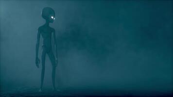 3D rendering. Gray aliens walk and look blinking on a dark smoky background. video