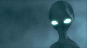 3D rendering. Gray aliens walk and look blinking on a dark smoky background. UFO futuristic concept. video