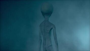 3D rendering. Scary gray aliens walk and look blinking on a dark smoky background. UFO concept. video