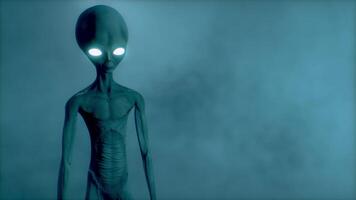 3D rendering. Scary gray aliens walk and look blinking on a dark smoky background. UFO. video