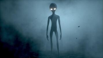 3D rendering aniation. Portrait of Scary gray alien stands and looks blinking on a dark smoky background. UFO futuristic. video