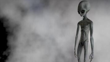 3D rendering aniation. Portrait of Scary gray alien. UFO futuristic concept. video