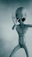 3D rendering. Scary gray aliens walk and look blinking on a dark smoky background. video